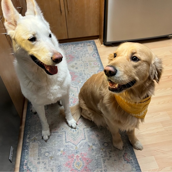 Meet your Poshmark Ambassador, Nicole - Picture 3 of 8